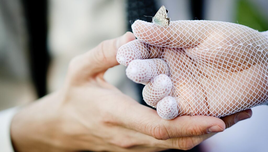 manos de los novios con una hermosa mariposa en castellon